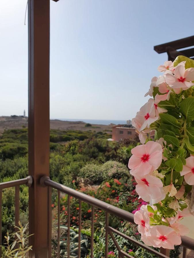 Ancient Paphos - Cozy Place Next To The Sea, Marina, Historical Sites, Buses, Mall, And Market Екстериор снимка