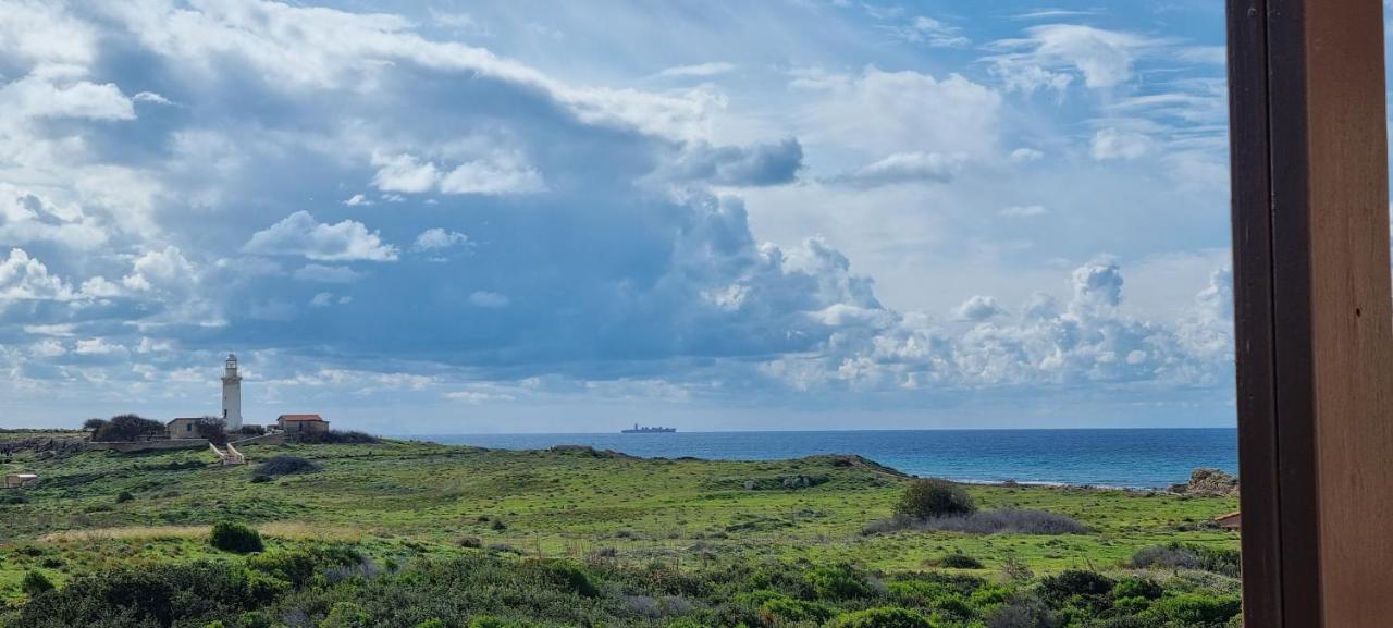 Ancient Paphos - Cozy Place Next To The Sea, Marina, Historical Sites, Buses, Mall, And Market Екстериор снимка