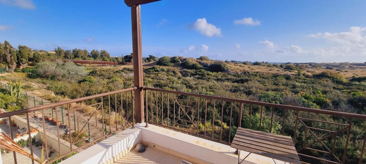 Ancient Paphos - Cozy Place Next To The Sea, Marina, Historical Sites, Buses, Mall, And Market Екстериор снимка