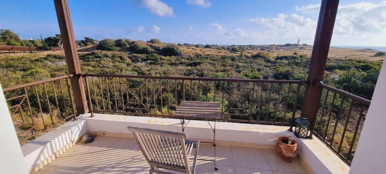 Ancient Paphos - Cozy Place Next To The Sea, Marina, Historical Sites, Buses, Mall, And Market Екстериор снимка
